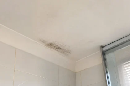 Dark mold spots forming on a white bathroom ceiling corner near the shower